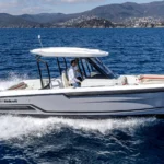 Wellcraft 28 T-Top