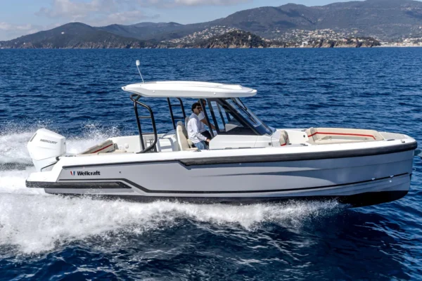 Wellcraft 28 T-Top
